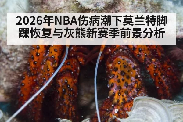 2026年NBA伤病潮下莫兰特脚踝恢复与灰熊新赛季前景分析